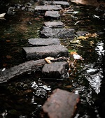 Photo of stepping stones across a stream