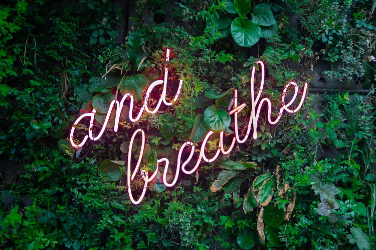 "and breathe" spelled out in fluorescent lighting with green leaves in the background