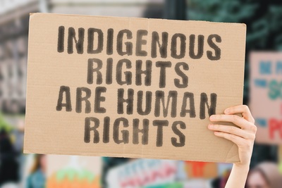 Hand holding up sign that says, "Indigenous rights are human rights".