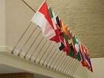 Photo of international flags in the UIS Public Affairs Center